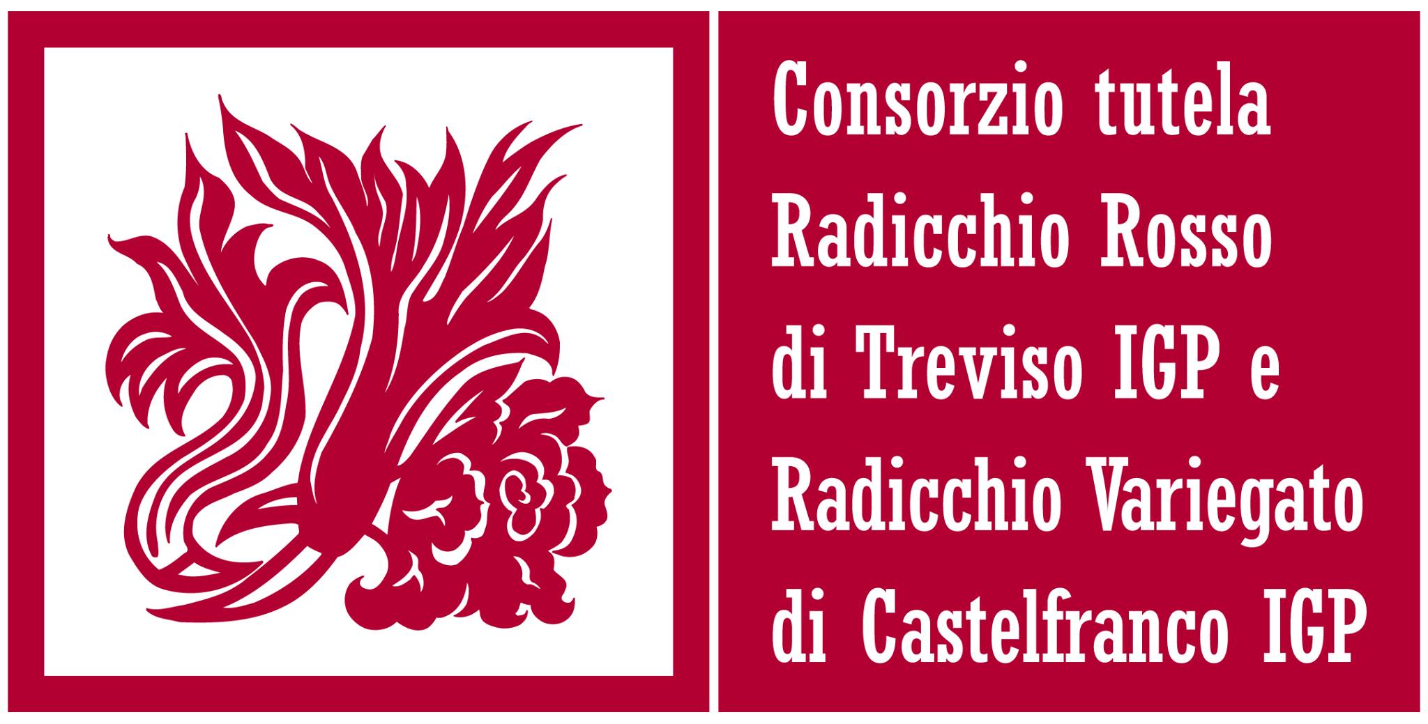 Consorzio Radicchio di Treviso