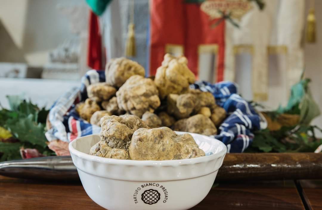 In the land of white truffles: pursuing a gastronomic excellence