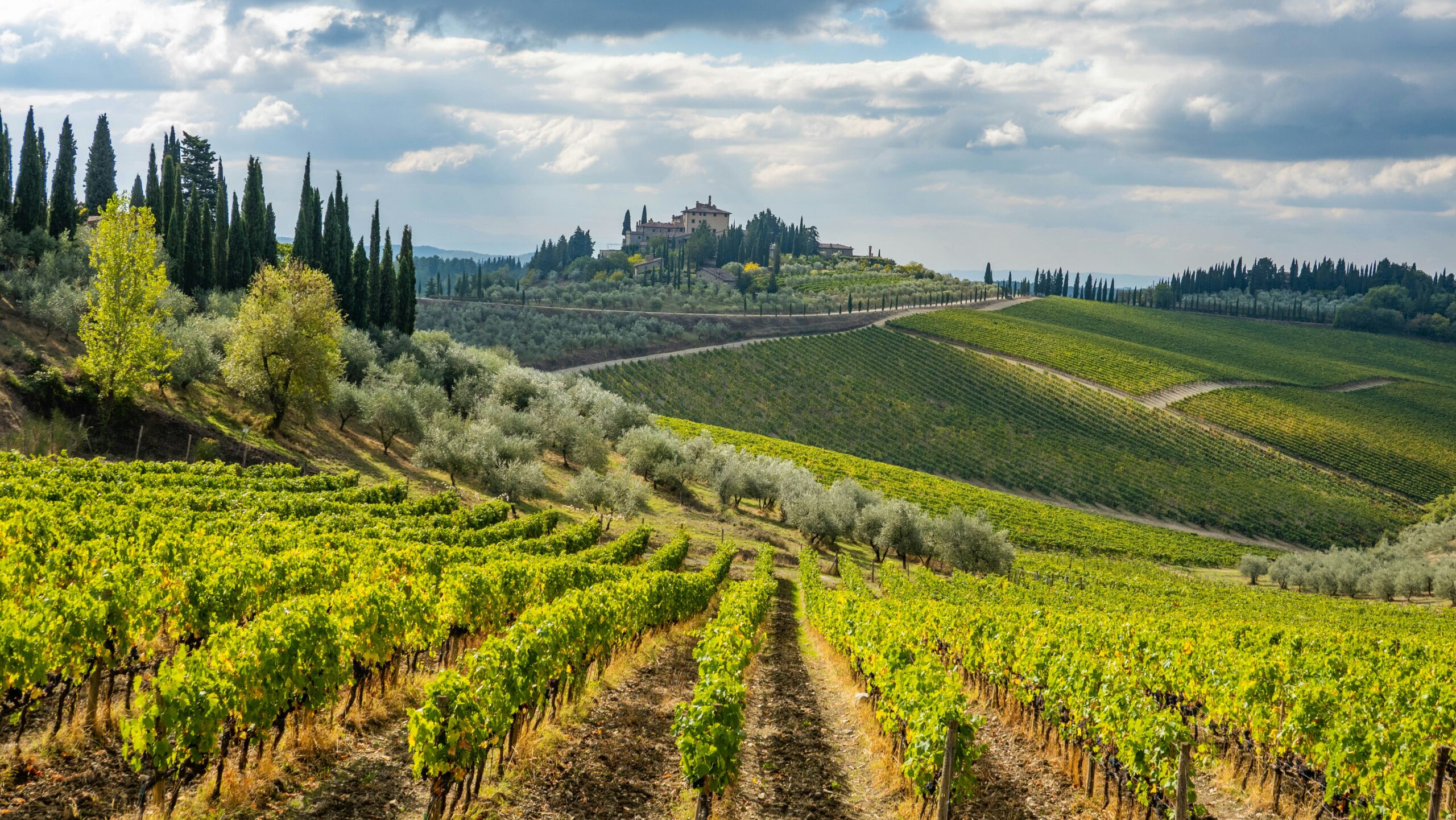 Slow Wine Fair 2025: Italian Sustainable Wine Takes Center Stage in Bologna